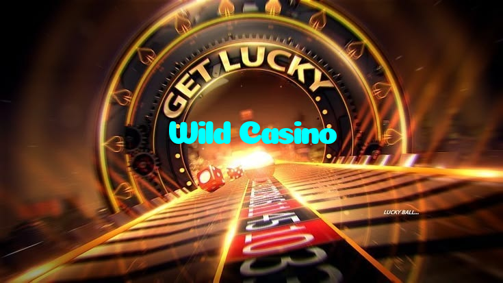 available types of Wild Casino bet including pre-match live express and system bets