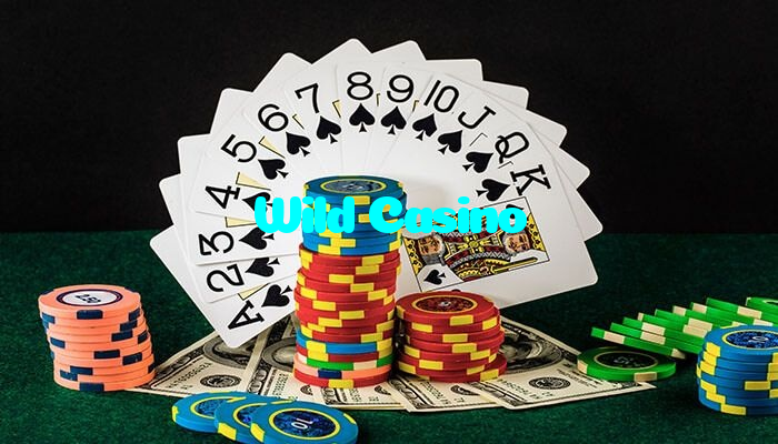 Wild Casino casino presented on mobile device in Pakistan with slots and live games