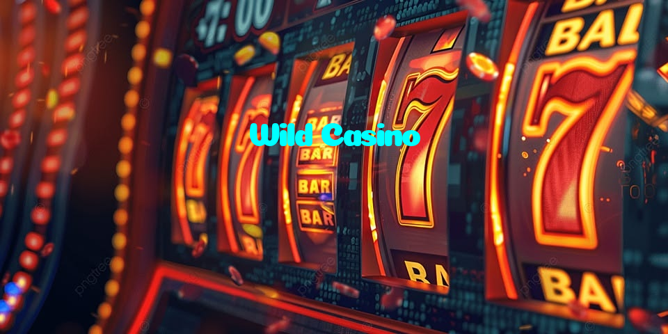 Wild Casino