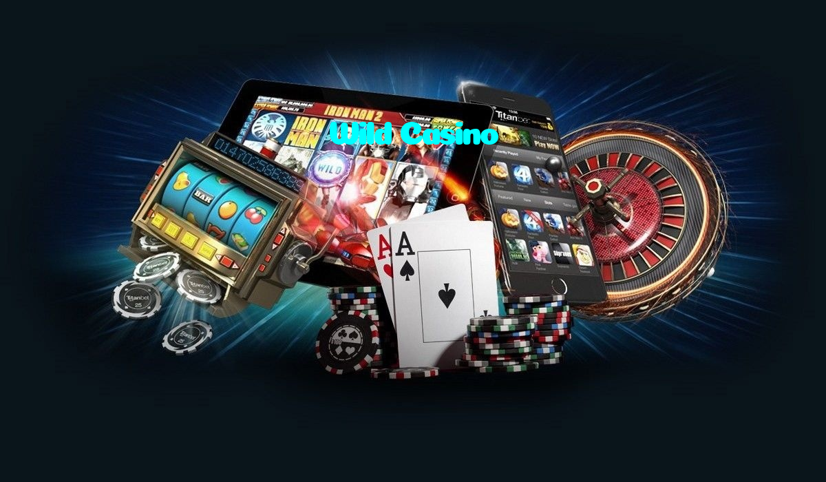 available types of Wild Casino bet including pre-match live express and system bets