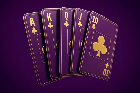 Wild Casino آن لائن کیسینو میں کھیلنے کی وجوہات